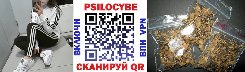 Псилоцибиновые грибы Magic Shrooms  Калуга 